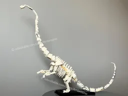 21320: Barosaurus lentus skeleton (minifig scale)
