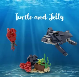 Turtle and Jelly