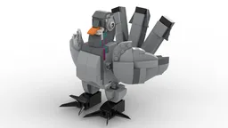 Fan Tail Pigeon