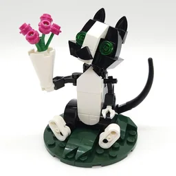 Anne (cat)