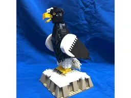 Steller's Sea Eagle