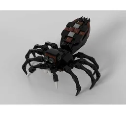 Spider