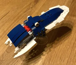 31088 cuttlefish