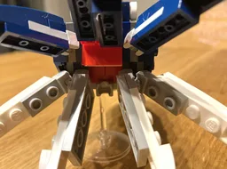 31088 cuttlefish