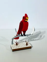 Northern Cardinal