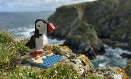 Puffin (Fratercula Arctica) - Funny microscale pop version