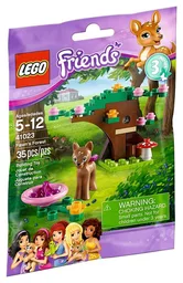 Fawn's Forest