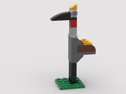 Grey Crowned Crane