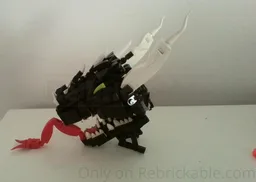 Dragon head
