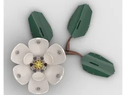 Magnolia Flower