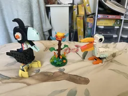 Garden Birds