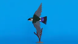 Violet-green Swallow