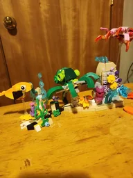 Reef expansion 2