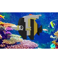 Moorish Idol Fish