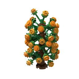 Citrus Tree