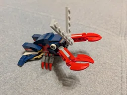 Shrimp 31088