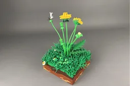 Dandelion