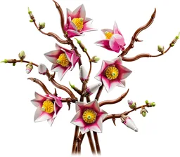 Magnolia Branches