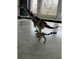 Small Oviraptorid