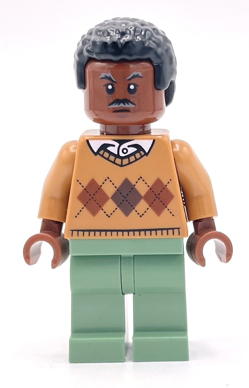 Lego Robbie Robertson
