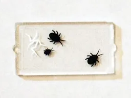 Glass for Window 1 x 2 x 3 with 3 Black Insects and Cracked Window Pattern (Sticker) - Set 75904