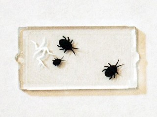 Lego Glass for Window 1 x 2 x 3 with 3 Black Insects and Cracked Window Pattern (Sticker) - Set 75904