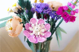 a04 Daffodil - Ultimate Flower Collection