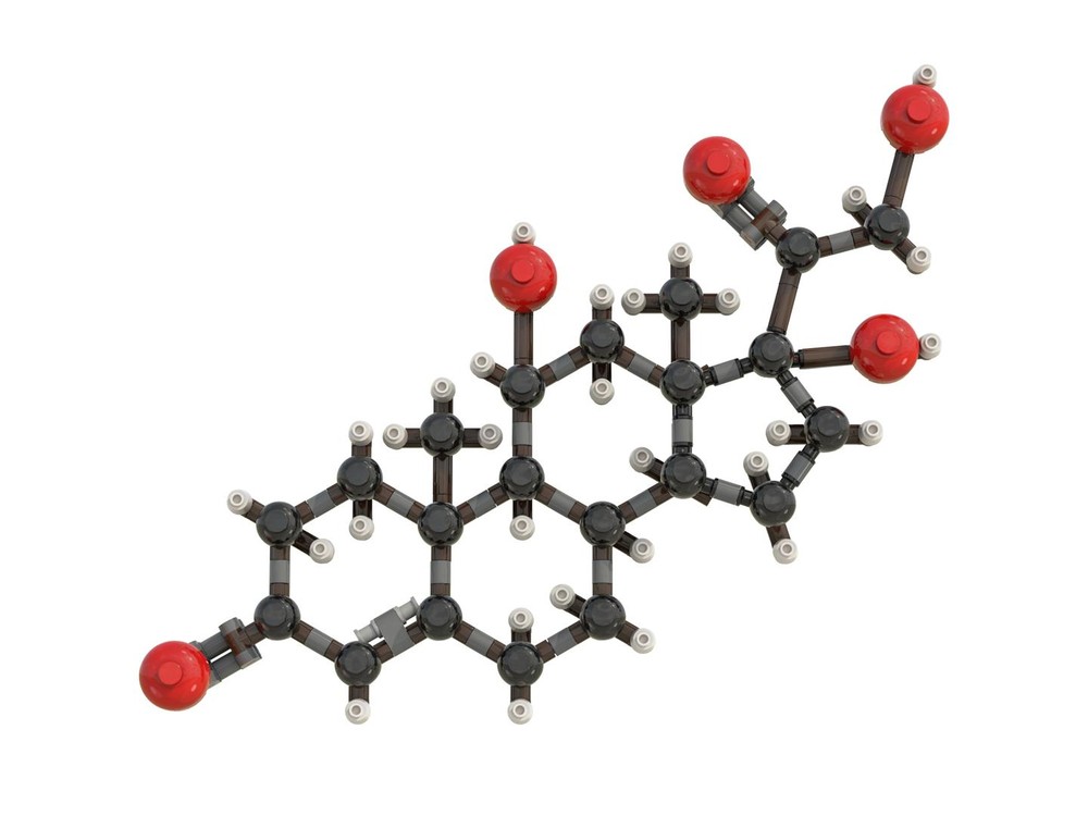 Lego Cortisol (C21H30O5)