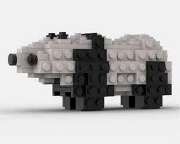 Giant Panda