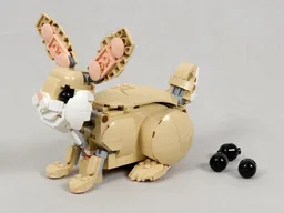 Pooping Cute Bunny