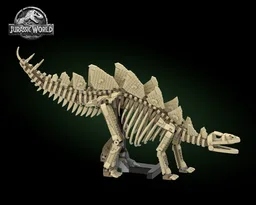 Stegosaurus fossil