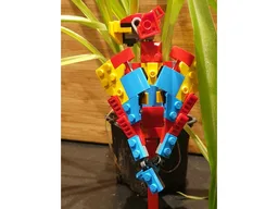Scarlet Macaw