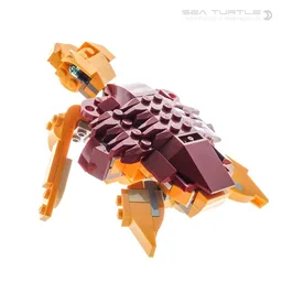 Sea Turtle