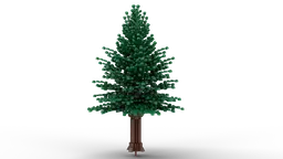 Douglas Fir Tree