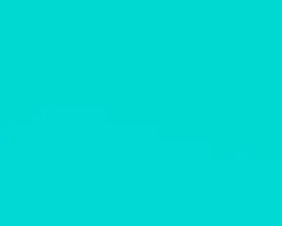 Yorkshire Terrier (Nano/Micro)