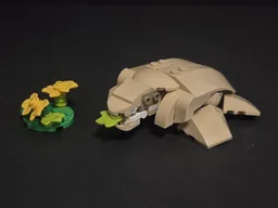 Hungry Turtle