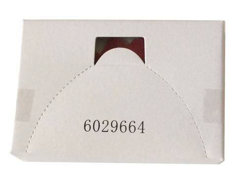 Lego Cardboard Sleeve 6029664 with Contents