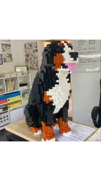 Dog Bernese Mountain