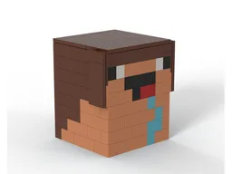 Minecraft - Steve Noob Head