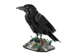 Raven