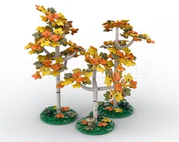 Plants and Trees Collection: Yellow Birch Trees