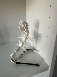 Cobra skeleton