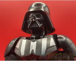 Vader bust