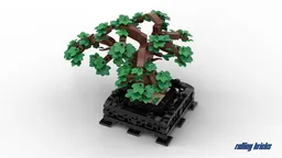 Bonsai