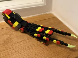 giant squid 31159