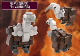 A VULTURE