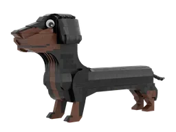 Dachshund