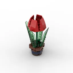 Red Tulip