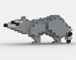 Raccoon
