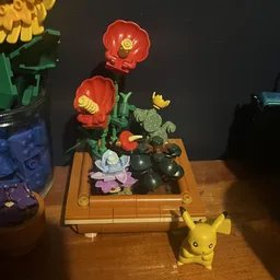 Tiny plants in a bonsai pot